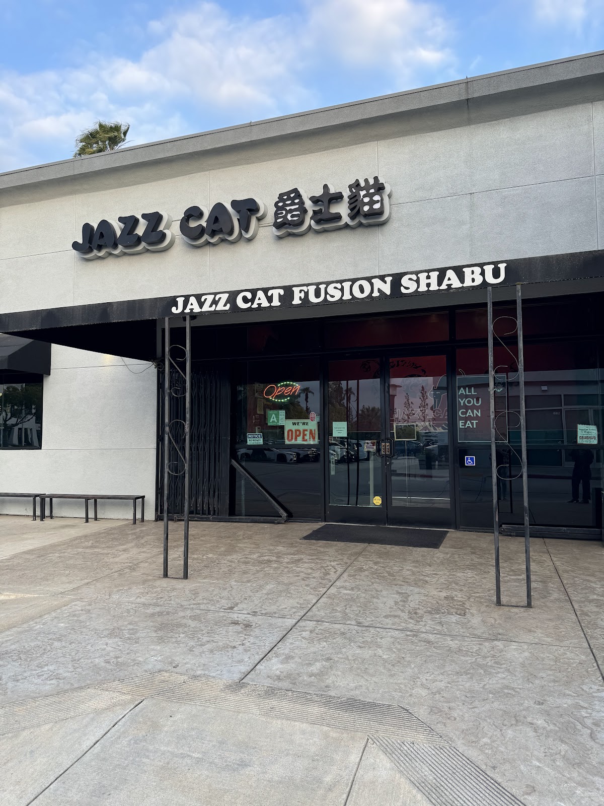 Jazz Cat