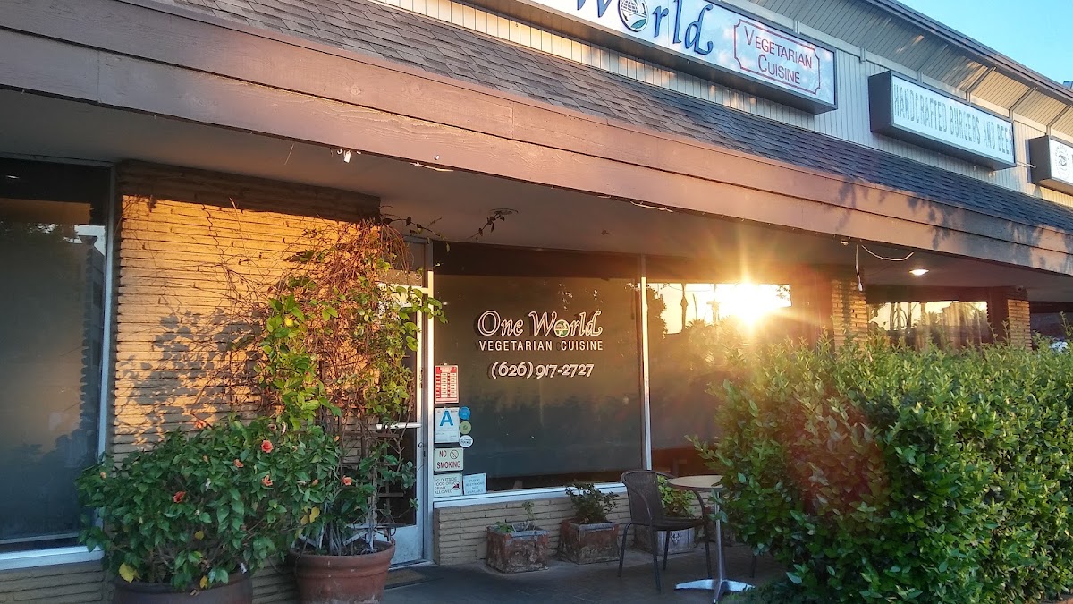 One Veg World