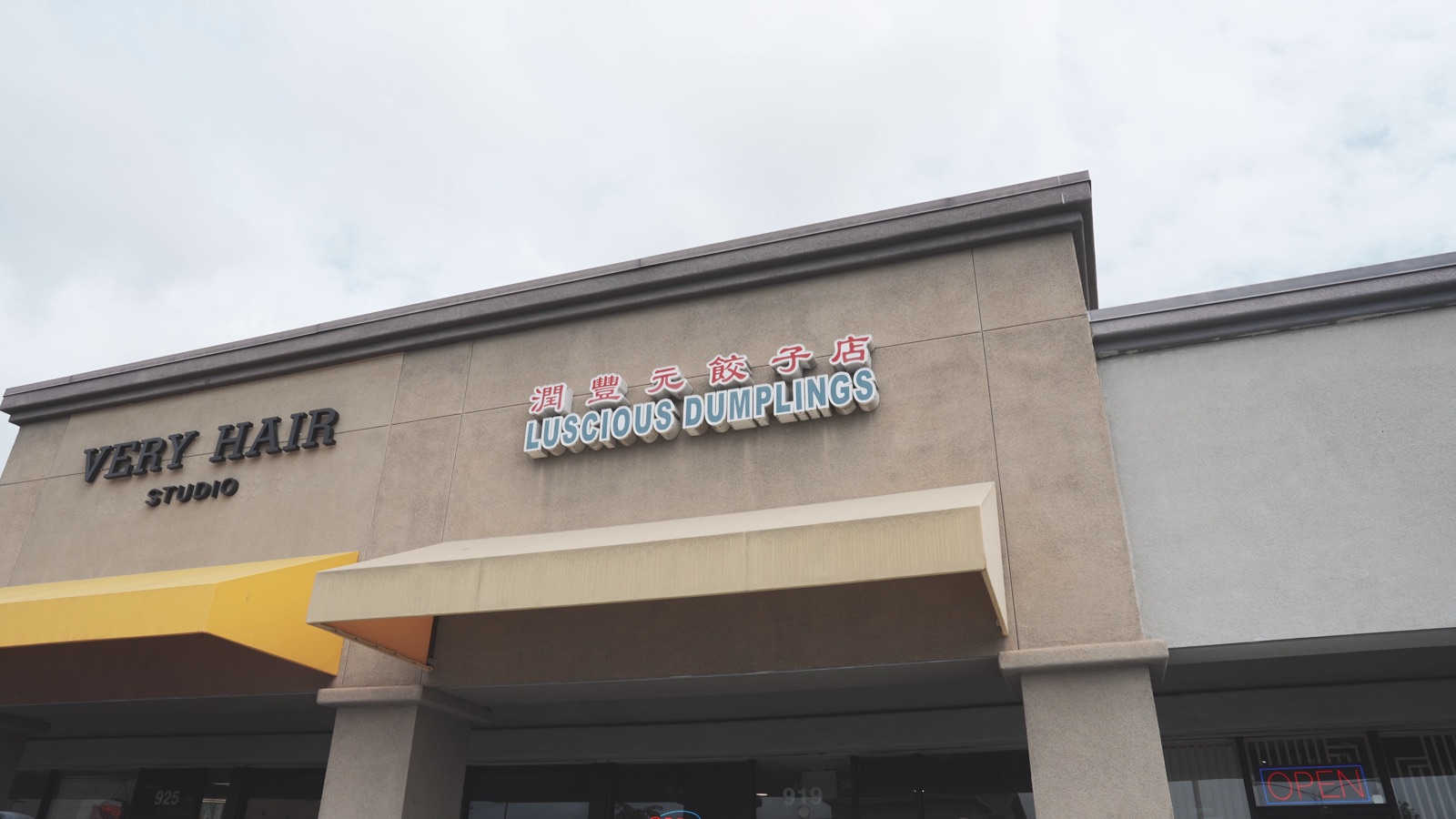 Luscious Dumplings